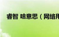 睿智 啥意思（网络用语睿智是什么意思）