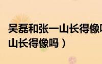 吴磊和张一山长得像吗是真的吗（吴磊和张一山长得像吗）