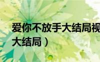 爱你不放手大结局视频（爱你不放手42集全大结局）