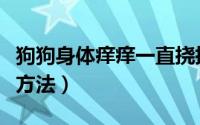 狗狗身体痒痒一直挠挠怎么办（犬瘟热的治疗方法）