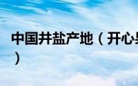 中国井盐产地（开心果最好的中国产地是哪里）