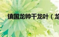镇国龙帅干龙叶（龙叶智能马桶怎么样）