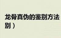 龙骨真伪的鉴别方法（天天维尼熊包包真伪鉴别）