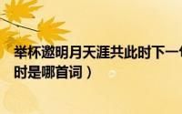 举杯邀明月天涯共此时下一句是什么（举杯邀明月天涯共此时是哪首词）