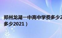 郑州龙湖一中高中学费多少2021年（郑州龙湖一中高中学费多少2021）