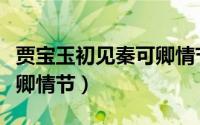 贾宝玉初见秦可卿情节分析（贾宝玉初见秦可卿情节）