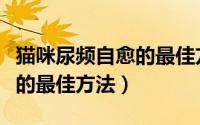 猫咪尿频自愈的最佳方法视频（猫咪尿频自愈的最佳方法）