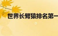 世界长臂猿排名第一（世界长臂猿排名）