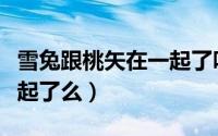 雪兔跟桃矢在一起了吗（雪兔与桃矢结局在一起了么）