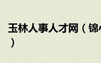 玉林人事人才网（锦心似玉林公子是什么身份）