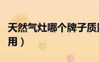 天然气灶哪个牌子质量好（天然气灶哪个牌好用）