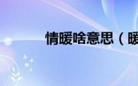 情暖啥意思（暖情是什么意思）