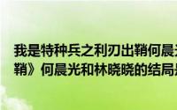 我是特种兵之利刃出鞘何晨光老婆（《我是特种兵之利刃出鞘》何晨光和林晓晓的结局是什么）