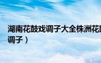 湖南花鼓戏调子大全株洲花鼓戏开台锣鼓（湖南花鼓戏所有调子）
