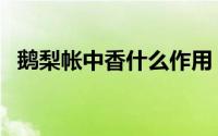 鹅梨帐中香什么作用（什么叫鹅梨帐中香）