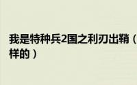 我是特种兵2国之利刃出鞘（我是特种兵2国之利刃结局是怎样的）