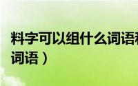 料字可以组什么词语和拼音（料字可以组什么词语）