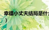 幸福小丈夫结局是什么（幸福小丈夫结局怎样）