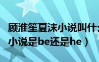 顾淮笙夏沫小说叫什么名字（顾淮西夏梓木的小说是be还是he）