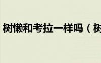 树懒和考拉一样吗（树懒跟考拉是一回事吗）