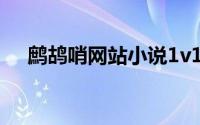 鹧鸪哨网站小说1v1（鹧鸪哨小说系列）