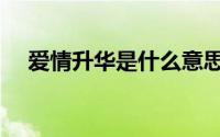 爱情升华是什么意思（升华是什么意思）