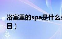 浴室里的spa是什么意思（浴室spa有哪些项目）