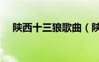 陕西十三狼歌曲（陕西十三郎全部歌曲）