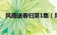 风雨送春归第1集（风雨送春归开播时间）