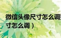 微信头像尺寸怎么调整 iphone（微信头像尺寸怎么调）
