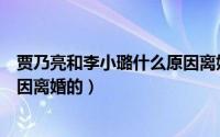贾乃亮和李小璐什么原因离婚的啊（贾乃亮和李小璐什么原因离婚的）