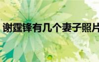 谢霆锋有几个妻子照片（谢霆锋有几个妻子）