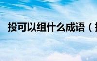 投可以组什么成语（投字可以组什么词语）