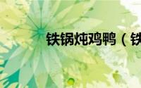 铁锅炖鸡鸭（铁锅炖鸭子做法）