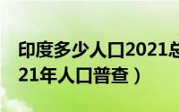 印度多少人口2021总人数（印度多少人口2021年人口普查）