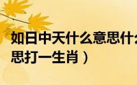 如日中天什么意思什么生肖（如日中天什么意思打一生肖）