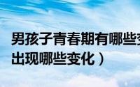 男孩子青春期有哪些变化（男孩儿的青春期会出现哪些变化）