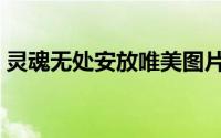 灵魂无处安放唯美图片（灵魂无处安放感悟）