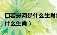 口若悬河是什么生肖打一个生肖（口若悬河是什么生肖）