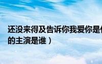 还没来得及告诉你我爱你是什么歌名（还没来得及说我爱你的主演是谁）