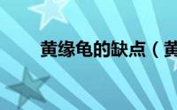 黄缘龟的缺点（黄缘龟的七大禁忌）