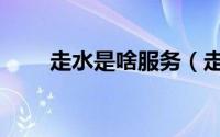走水是啥服务（走水客是什么意思）