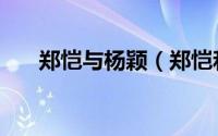 郑恺与杨颖（郑恺和杨颖是什么关系）