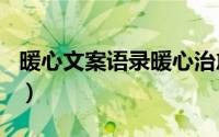 暖心文案语录暖心治愈文案（tf家族暖心语录）