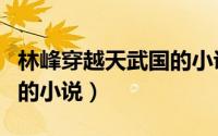 林峰穿越天武国的小说推荐（林峰穿越天武国的小说）