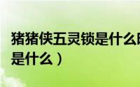 猪猪侠五灵锁是什么时候出的（猪猪侠五灵锁是什么）
