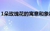1朵玫瑰花的寓意和象征（1朵玫瑰花的寓意）