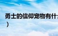 勇士的信仰宠物有什么用（勇士信仰宠物排名）