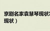 京剧名家袁慧琴现状怎么样（京剧名家袁慧琴现状）