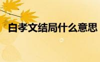 白孝文结局什么意思（白孝文原著大结局）
